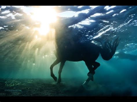 Underwater Horse (backstage) - YouTube