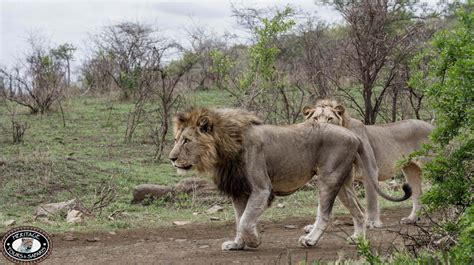 Hluhluwe-iMfolozi Game Reserve - Hluhluwe Game Reserve