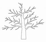 Tree Trunk Coloring Page Sketch sketch template