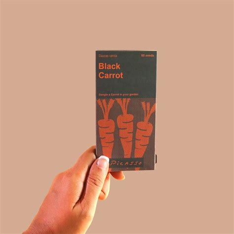 Black Carrot Vegetable Seeds – Garden Up Store