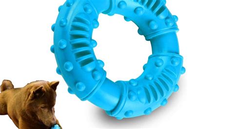 Best teething toys for puppies 2024: Take a bite out of teething pains ...