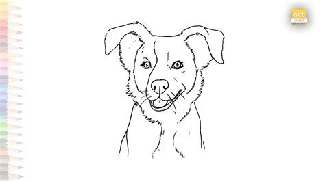 Border collie dog drawing video | Dog face easy drawings | How to draw ...