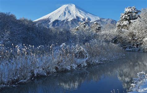 Winter Mt. Fuji on Dog, mount fuji winter HD wallpaper | Pxfuel