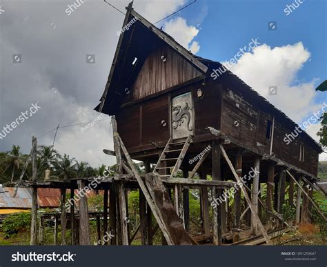 Traditional House Dayak Tribe Called Rumah Stock Photo 1891259647 ...