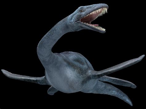 Elasmosaurus Pictures & Facts - The Dinosaur Database