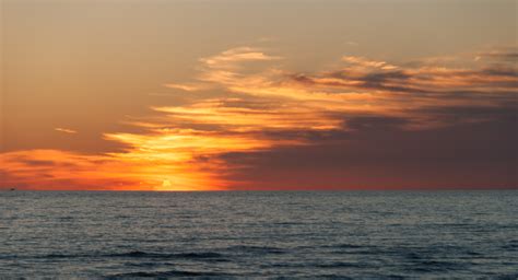 Free photo: Sunset at sea - Birds, Boat, Landscape - Free Download - Jooinn