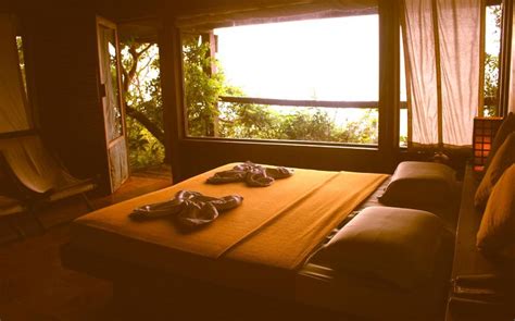 Wildernest Nature Resort, Goa | 2024 Updated Prices, Deals