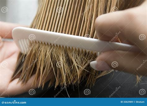 Combing of hair stock image. Image of brown, straight - 3362989