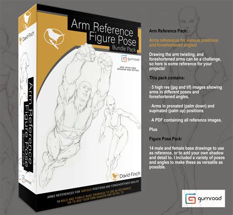 Arm Reference and Figure Pose Bundle Pack