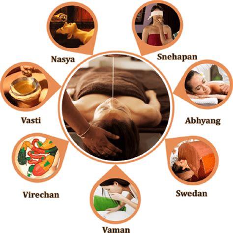 Ayurveda & Panchakarma – We5 Ayurveda