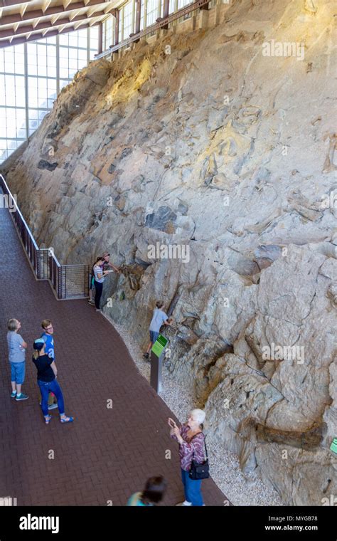 Visitors admiring the wall of 1500 dinosaur fossils at the Dinosaur ...