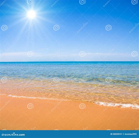 Summer sun stock image. Image of colorful, natural, beauty - 8850931