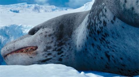 Leopard Seal (Happy Feet Two) | Happy Feet Wiki | Fandom powered by Wikia