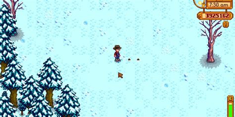 Pine Tree in Stardew Valley: Growth & Uses