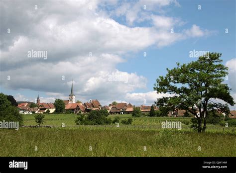 vineyards france alsace Stock Photo - Alamy