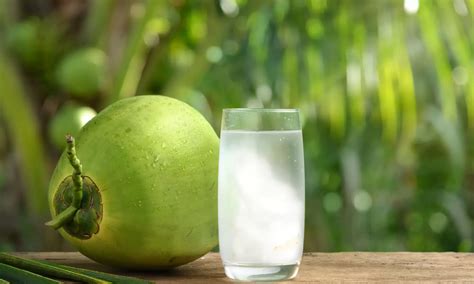 Is Coconut Water Low FODMAP? - The Coconut Mama