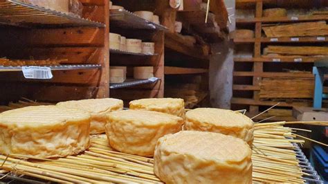 Beginner’s Guide to French Cheese | Taste of Toulouse