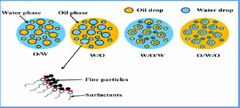 The types of Nanoemulsion 7 | Download Scientific Diagram