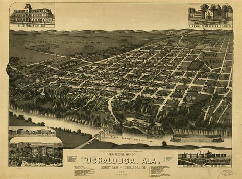 Vintage Pictorial Map of Tuscaloosa Alabama - 1887 Drawing by ...