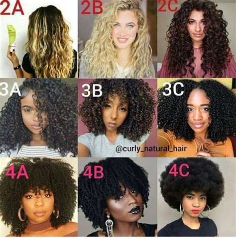 79 Stylish And Chic How Many Types Of Curly Hair Are There For Long ...