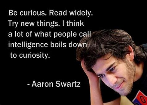 AARON SWARTZ QUOTE CURIOSITY image quotes at relatably.com