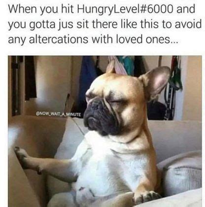 30 Hungry Memes You'll Find Too Familiar - SayingImages.com | Hungry meme, Hungry funny, Funny ...