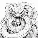 Snake Dragon Coloring Pages  Free & Printable sketch template