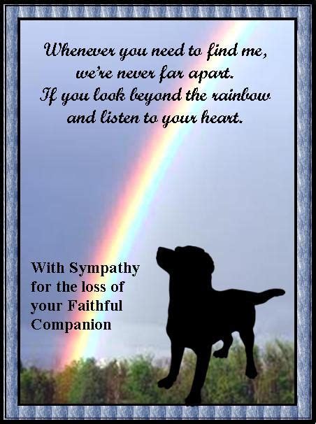 PET SYMPATHY CARD Pets are devoted companions and their owners mourn ...