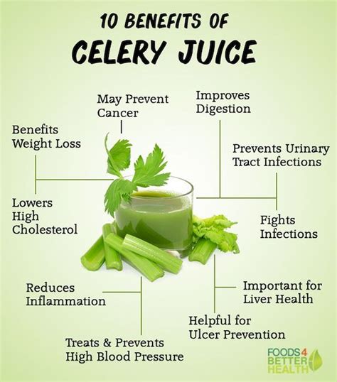 Benefits Of Celery Juice Goop - health benefits