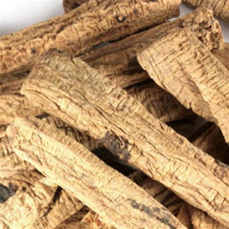 Best Quality CODONOPSIS ROOT WHOLE in Canada