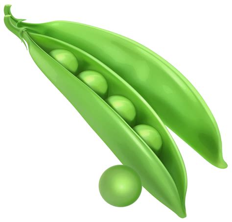 Back pea clipart - Clipground