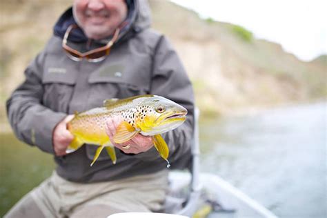 Fishing In Great Falls, MT | Montana Fishing Guides