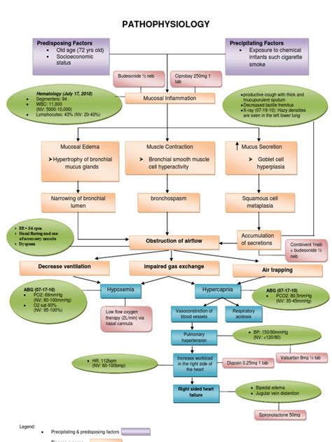 Copd Pathophysiology Diagram | PDF