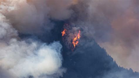 2023 wildfires an exception to three decades of declining fires ...