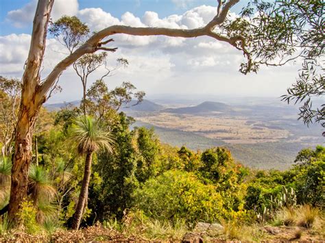 Paradise to Westcott track | Bunya Mountains National Park | Parks and forests | Department of ...