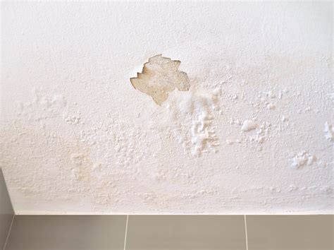 Drywall Water Damage: Don't Ignore Those Pesky Water Stains on Your Ceiling » Bauerle Roofing