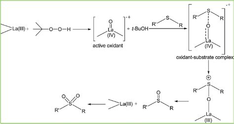 Scheme 1 Proposed reaction pathway for the oxidation of sulfide ...