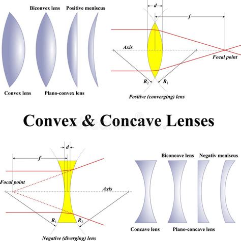 Lentilles Convexes Et Concaves Photo stock - Image du concave, magnifier: 33329140