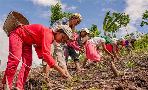 Women as part of the solution | Global Climate Change