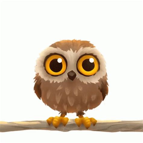 Owl Animated GIF - Owl Animated Cute - Discover & Share GIFs