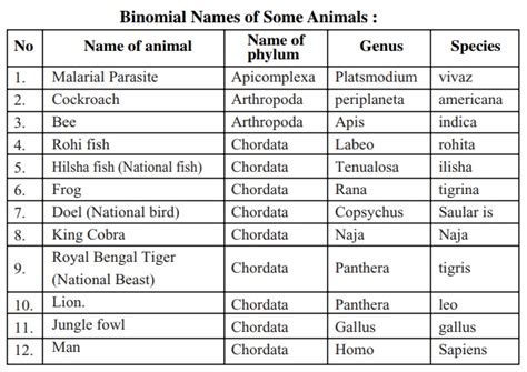 Rules for Modern or Natural Classification in Animal Diversity