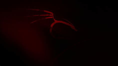 Kali Linux Wallpaper {4k} by ProGamerZix on DeviantArt