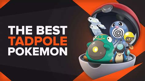 The Best Tadpole Pokemon [EVERY Tadpole Pokemon ranked!]