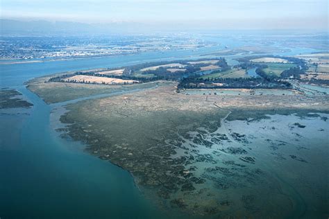 Bringing conservation to life in the Fraser River Estuary — Ducks Unlimited Canada