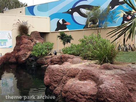 Penguin Encounter at SeaWorld San Diego | Theme Park Archive