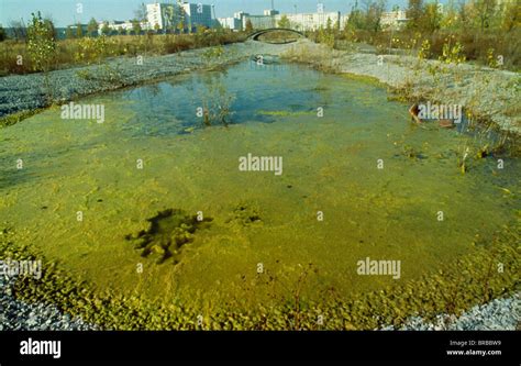 UKRAINE Kiev Pripyat Evacuated city and contaminated water in area after the Chernobyl nuclear ...