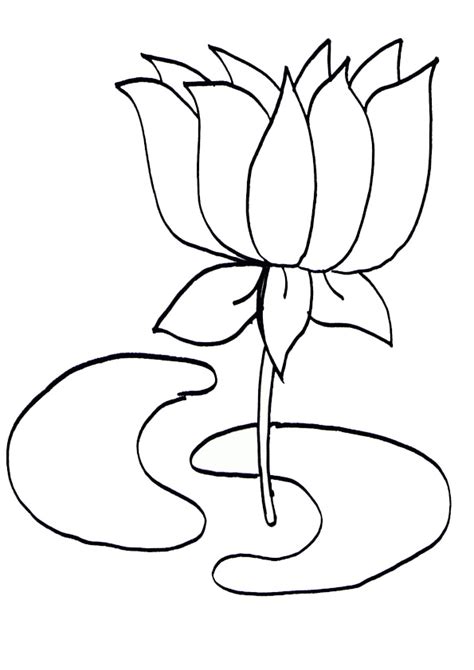 Printable Lotus Flower Coloring Pages | Best Flower Site