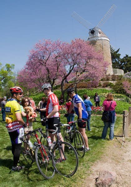 Frank Thompson's Kansas Journeys: Wamego Tulip Festival