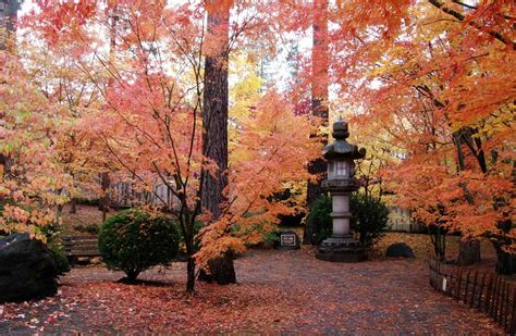 Nishinomiya Tsutakawa Japanese Garden - Manito Park - Spokane | Japanese garden, Washington ...