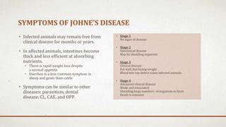 Disease management | PPT